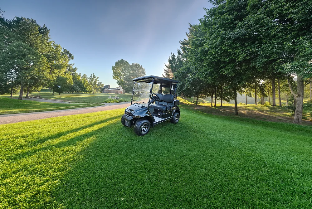 Golf cart parked on grass beside a cart path on a golf course.