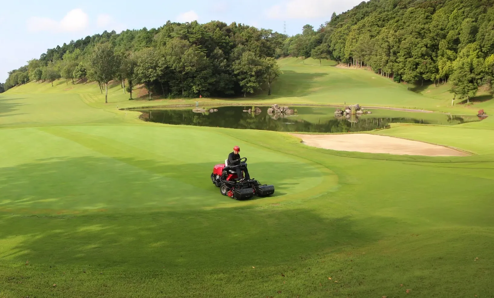Person operating a multi-reel turf mower on a golf course fairway.